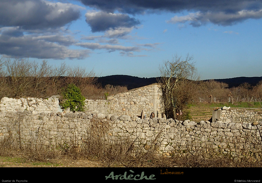 20140219_88
