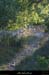 20110731_labeaume_chemindechamplautier