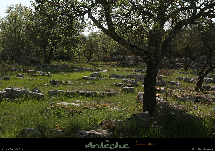 20100425_boislabeaume_rancdebise2