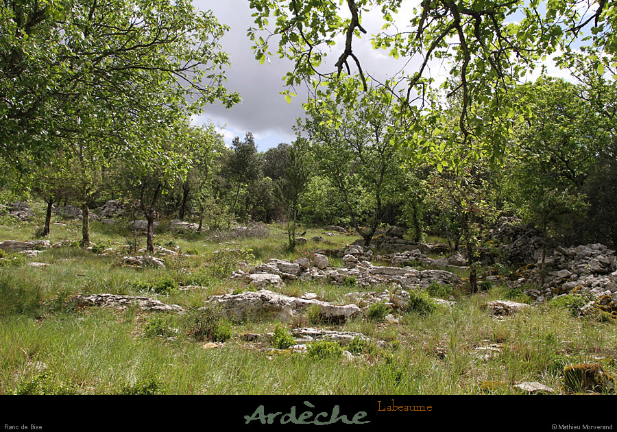 20120429_labeaume_rancdebise1