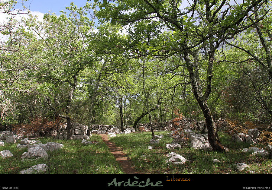 20120429_labeaume_rancdebise3