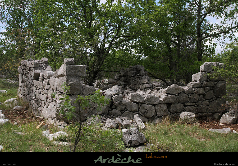 20120429_labeaume_rancdebise4