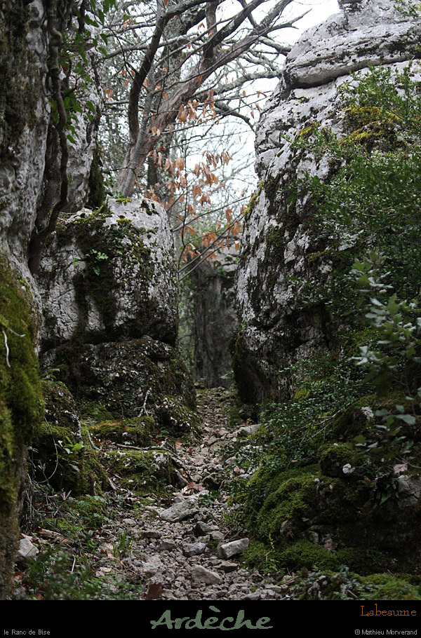 20130406_labeaume_rancdebise_1