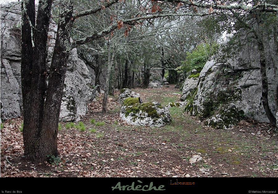 20130406_labeaume_rancdebise_2
