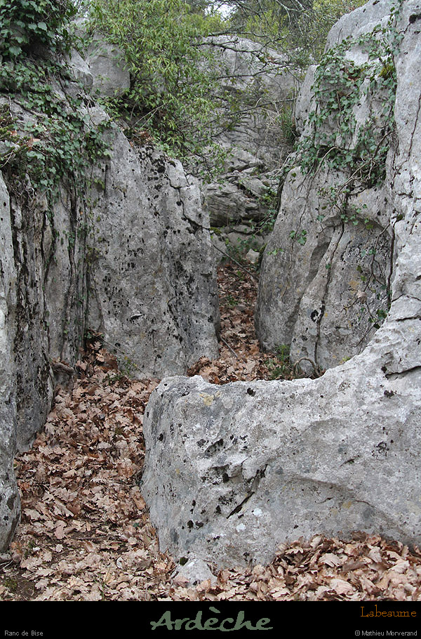 20130409_labeaume_rancdebise_3