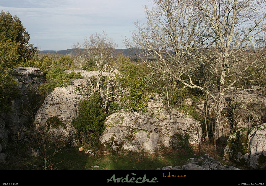 20130415_labeaume_rancdebise3