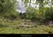 20120429_labeaume_rancdebise1