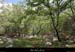 20120429_labeaume_rancdebise3