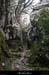20130406_labeaume_rancdebise_1