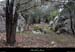 20130406_labeaume_rancdebise_2