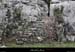 20130406_labeaume_rancdebise_escalier1