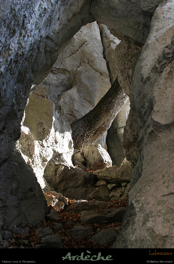 20071029_labeaume_jardinssupendus3