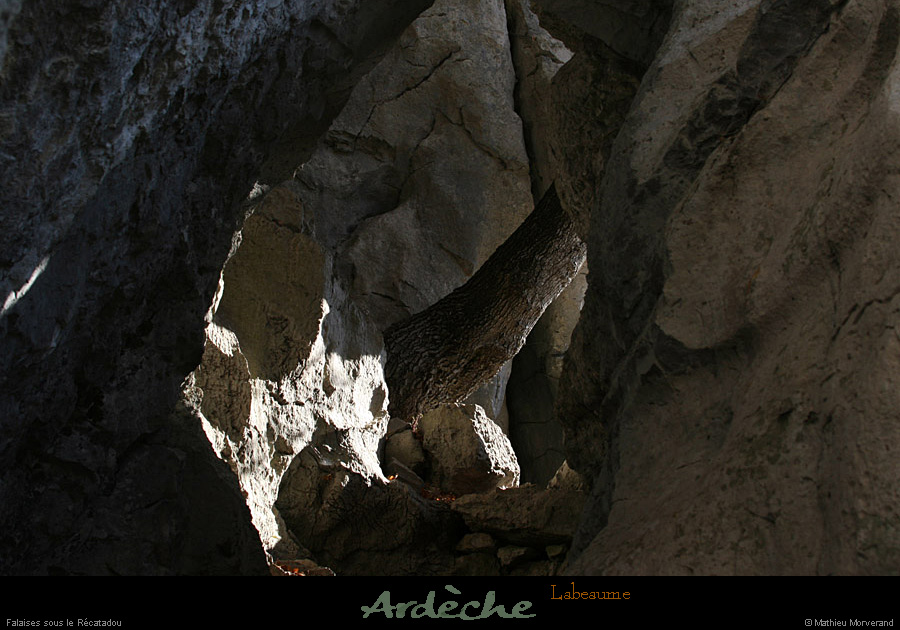 20071029_labeaume_jardinssupendus4