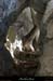 20071029_labeaume_jardinssupendus3