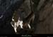 20071029_labeaume_jardinssupendus4