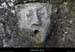 20071029_labeaume_jardinssupendus5