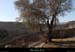 20120226_labeaume_balcondurecatadou1