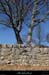 20120226_labeaume_recatadou2