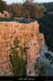 20120602_labeaume_terrassejardinssuspendus3
