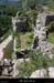 20210819_jardins1