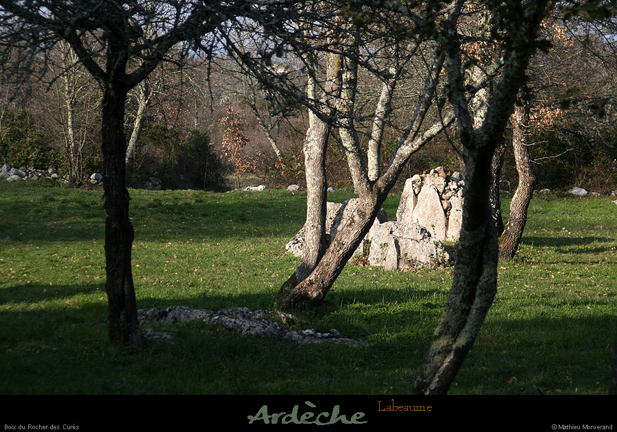 20130331_labeaume_chapias_rochercures_pre05