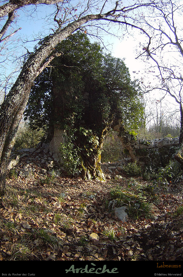 20130401_labeaume_boisdurocherdescures_arche3