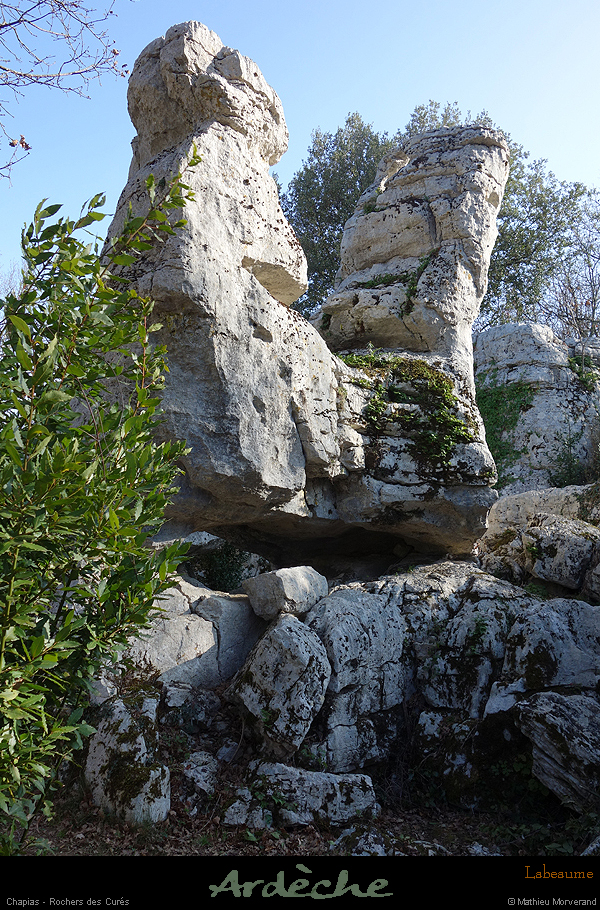 20180225_cures4