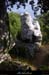 20100815_labeaume_rochercures1