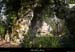 20130331_labeaume_boisdurocherdescures_arche1