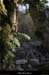 20130331_labeaume_boisdurocherdescures_arche4