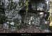 20130331_labeaume_chapias_bois_chaos03