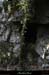 20130331_labeaume_chapias_bois_chaos04