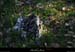 20130331_labeaume_chapias_rochercures_pre07