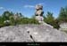 20130510_labeaume_grassschapias2