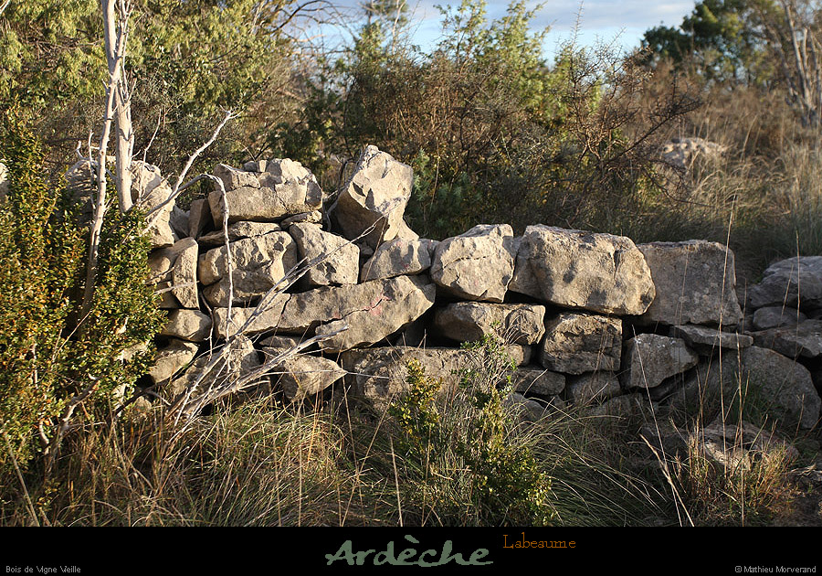 20121216_labeaume_vignevieille_murpierresseches