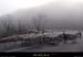20121216_labeaume_rtebellevue_moutons
