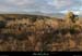 20121216_labeaume_vignevieille_plateau1