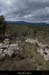 20130409_labeaume_grasdevignevieille6