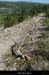 20130510_gorgesligne_cornichemirabelle2