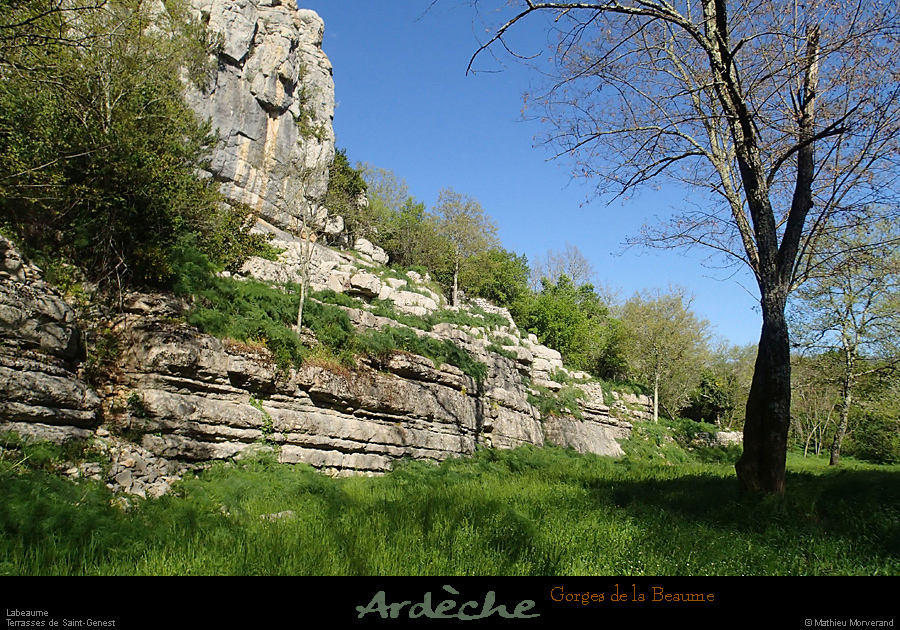 20160410_labeaume_stgenest