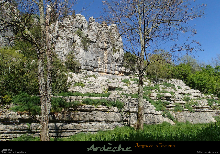 20160410_labeaumessstgenest