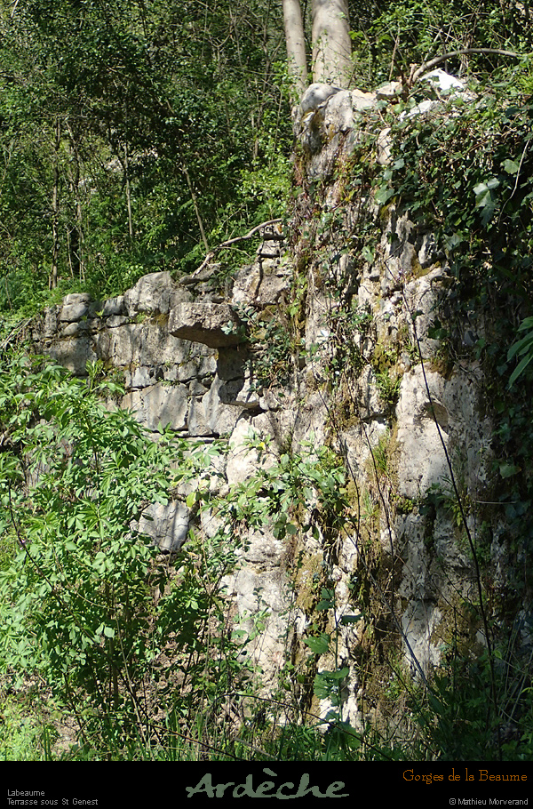 20160410_labeaumessstgenest2
