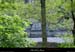 20010904_labeaumeriviereetfalaise1