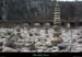 20100321_pontlabeaume_cairn2