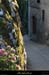 20110731_labeaume_calade7