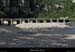 20120528_labeaume_pontduvillage2