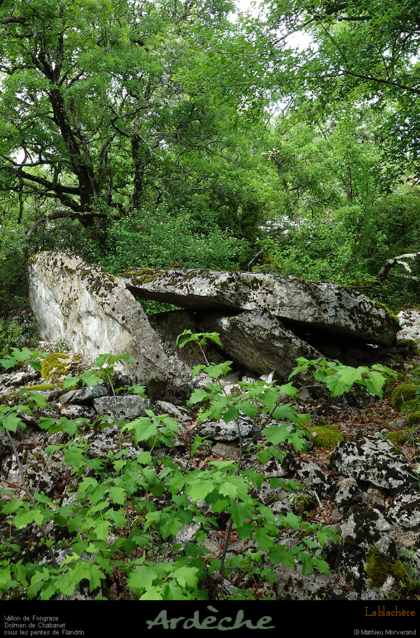 20170506_dolmenchabanet01