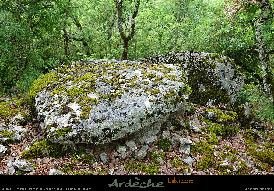 20170506_dolmenchabanet08