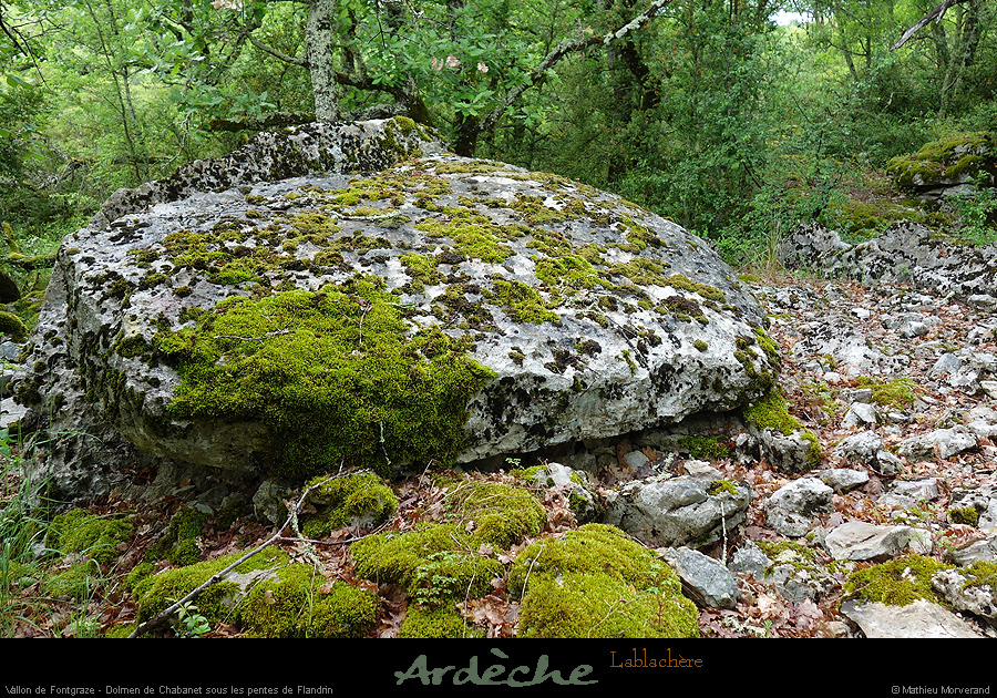 20170506_dolmenchabanet09