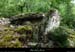 20170506_dolmenchabanet06